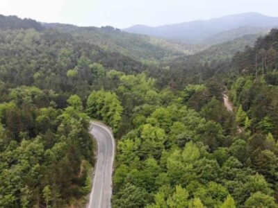 Çanakkale'de ormanlık alanlara girişler 1 Haziran'dan itibaren yasaklandı