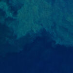 Ege’den İlk Yarıda 9 Milyar Dolar, Son 1 Yılda 18,4 Milyar Dolarlık İhracat