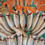 Ege İhracatçıları Su Ürünleri ve Hayvansal Mamuller Sektöründe Türkiye’nin Zirvesinde