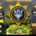 Malatya’da Uyuşturucu Operasyonlarında 8 Kişi Tutuklandı