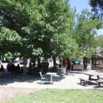 Başkan Filiz Ceritoğlu Sengel’den Enflasyona Karşı Hamle: Ferahlı Büfe’de Çay 1 TL!