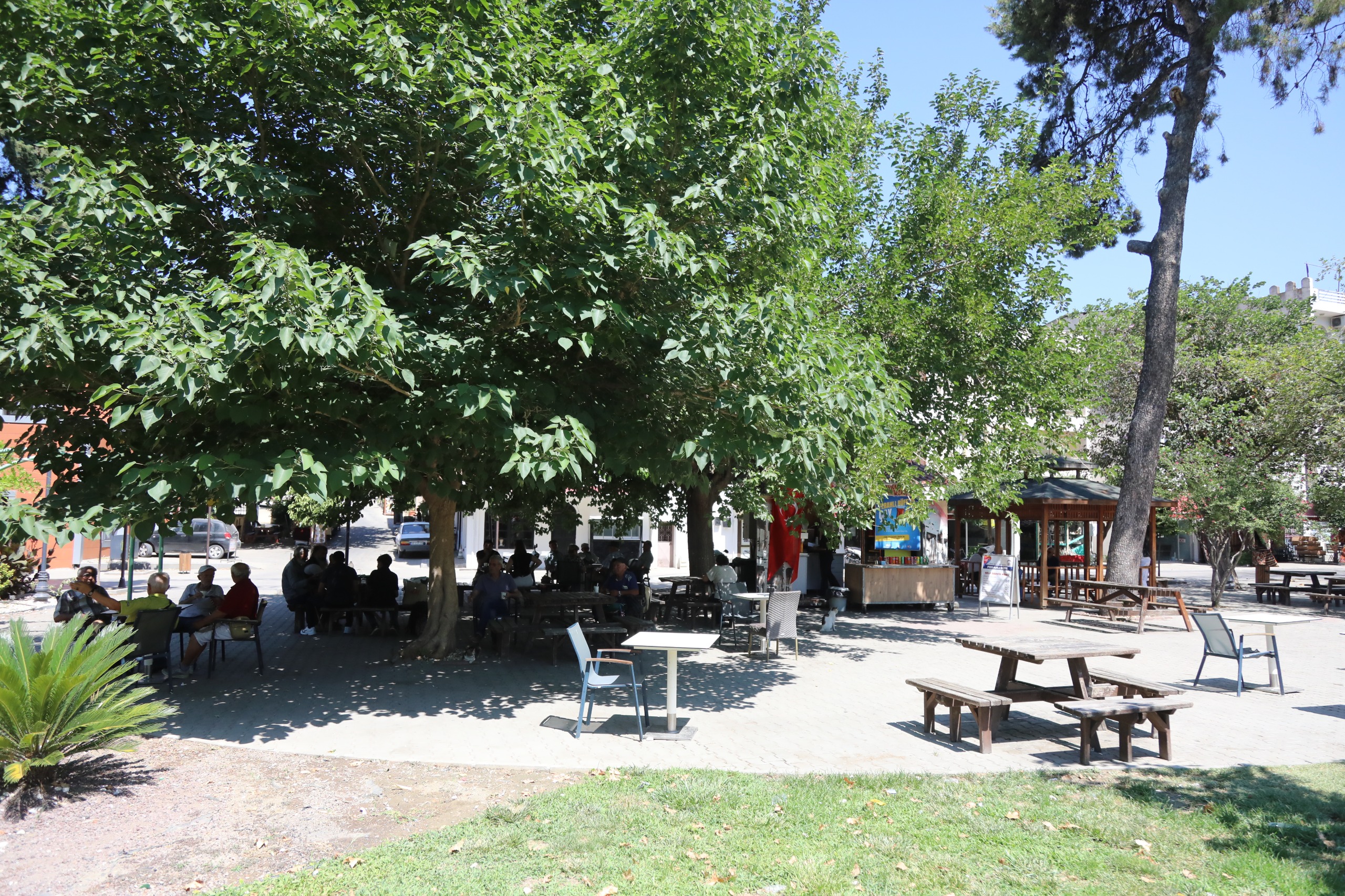 Başkan Filiz Ceritoğlu Sengel’den Enflasyona Karşı Hamle: Ferahlı Büfe’de Çay 1 TL!