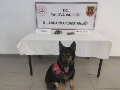 Yalova’da Uyuşturucu Operasyonu: Kadıköy Beldesinde 2 Şüpheli Yakalandı