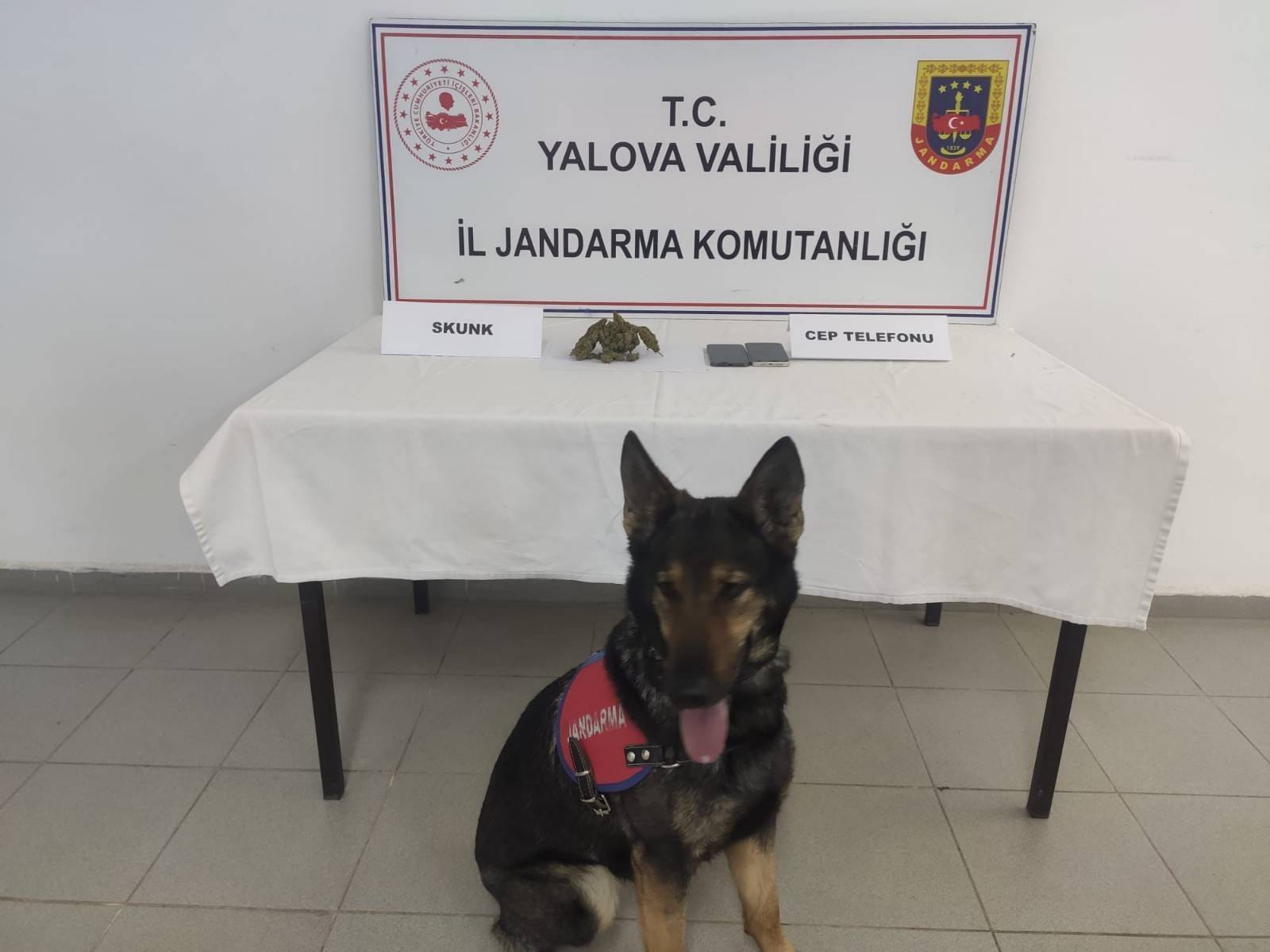 Yalova’da Uyuşturucu Operasyonu: Kadıköy Beldesinde 2 Şüpheli Yakalandı