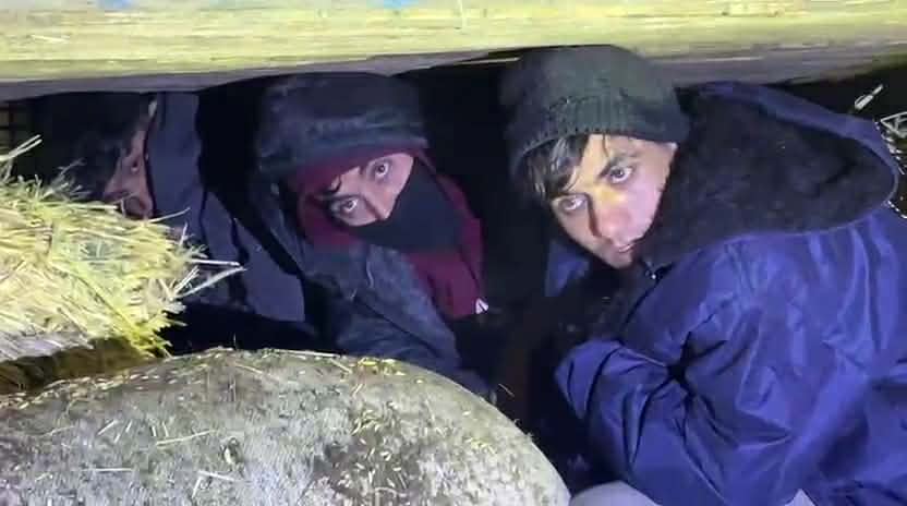 Kars’ta Saman Yüklü Kamyonette Göçmen Kaçakçılığı: 1 Tutuklama