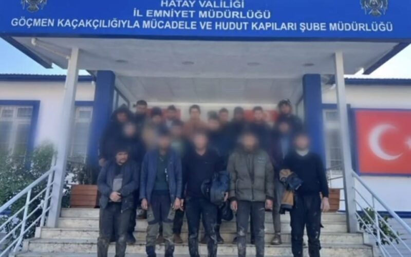 Hayvan Dışkısıyla Kamufle Edildiler