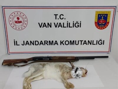 Van’da Kaçak Tavşan Avına 29 Bin TL Ceza