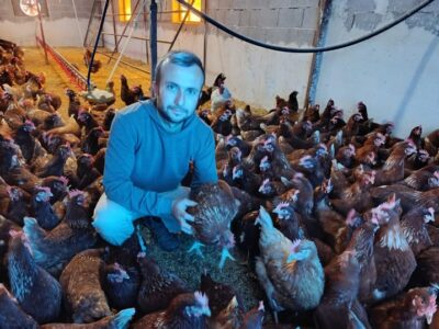 KÖYÜNE DÖNDÜ GEZEN TAVUK YUMURTA ÜRETİCİSİ OLDU