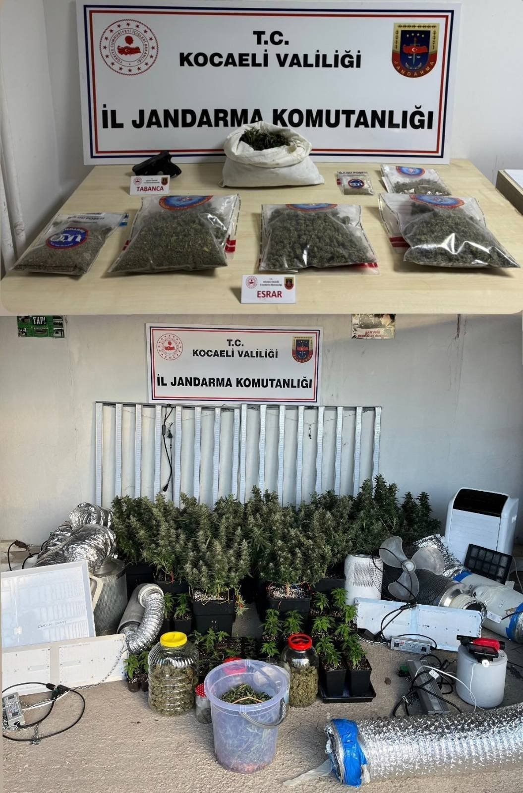 Kocaeli’de İklimlendirmeli Uyuşturucu Seralarına Darbe