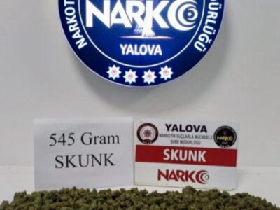 Yalova’da Narkotik Operasyonu: 6 Gözaltı, 1 Tutuklama