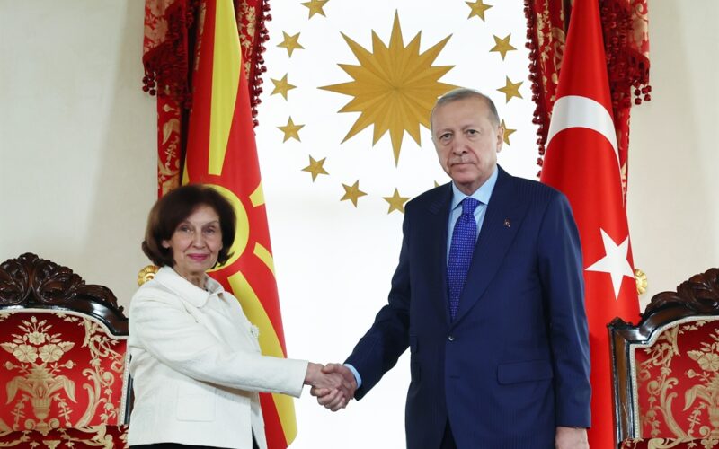 Cumhurbaşkanı Erdoğan, Kuzey Makedonya Cumhurbaşkanı Davkova ile Görüştü