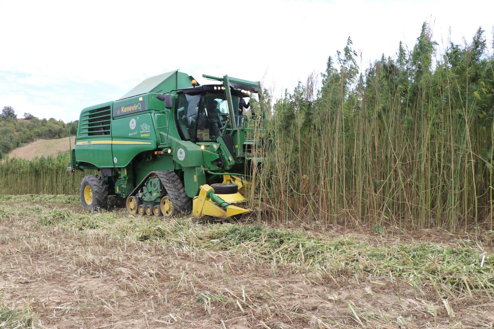 Samsun Tarımda Şahlanıyor: Üreticiye Milyarlık Destek, Ekonomiye Dev Katkı