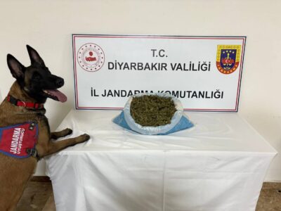 Diyarbakır’da Narkoterör Operasyonu: 23 Kilogram Esrar Ele Geçirildi