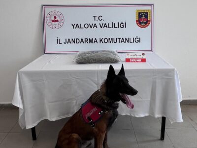 Yalova’da Uyuşturucu Operasyonu: 1,5 Kilo Skunk Ele Geçirildi