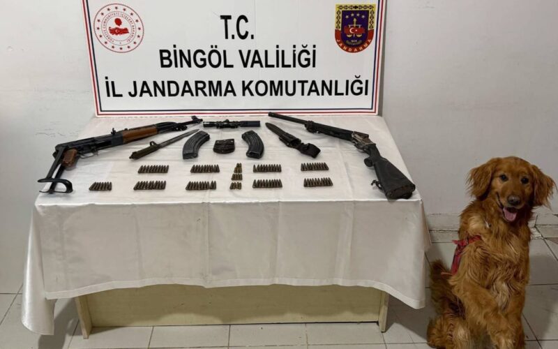 Bingöl’de Silah Kaçakçılığı Operasyonu: Çok Sayıda Mühimmat Ele Geçirildi