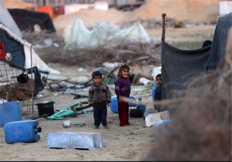 Gazze’de Salgın Alarmı: Kemirgen Tehdidi Halk Sağlığını Tehdit Ediyor