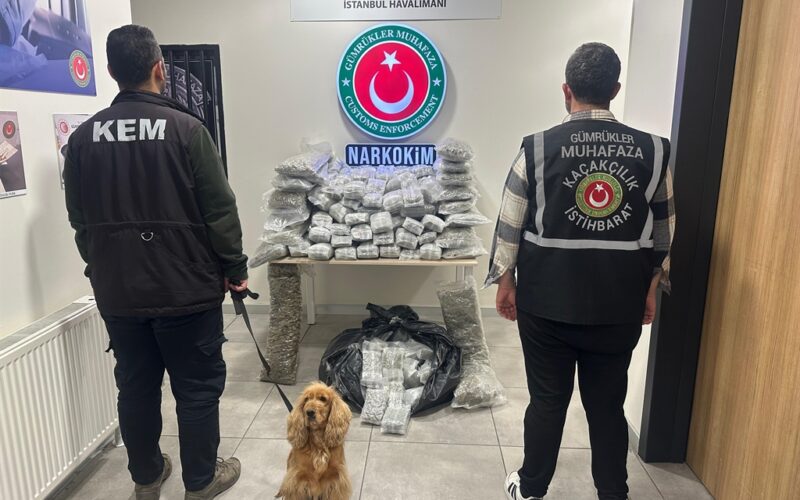 Ticaret Bakanlığı’ndan Uyuşturucu Kaçakçılığına Dev Darbe: 659 Kilo Madde Ele Geçirildi