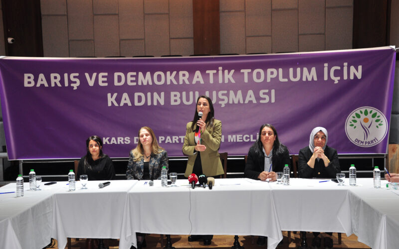 DEM Parti’den Kars’ta “Barış ve Demokratik Toplum” Mesajı