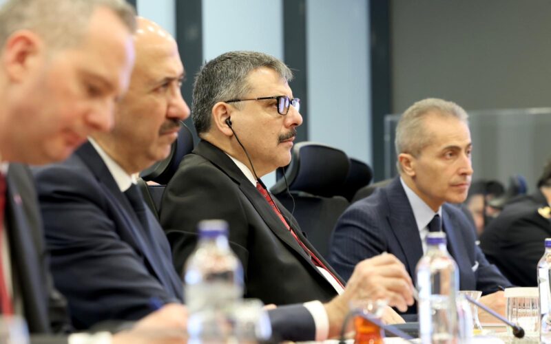 İçişleri Bakanı Çiftçi, AB Akdeniz Komiseri Suica ile Görüştü
