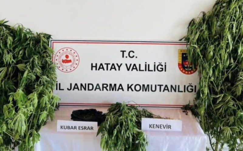 Samandağ’da Uyuşturucu Operasyonu