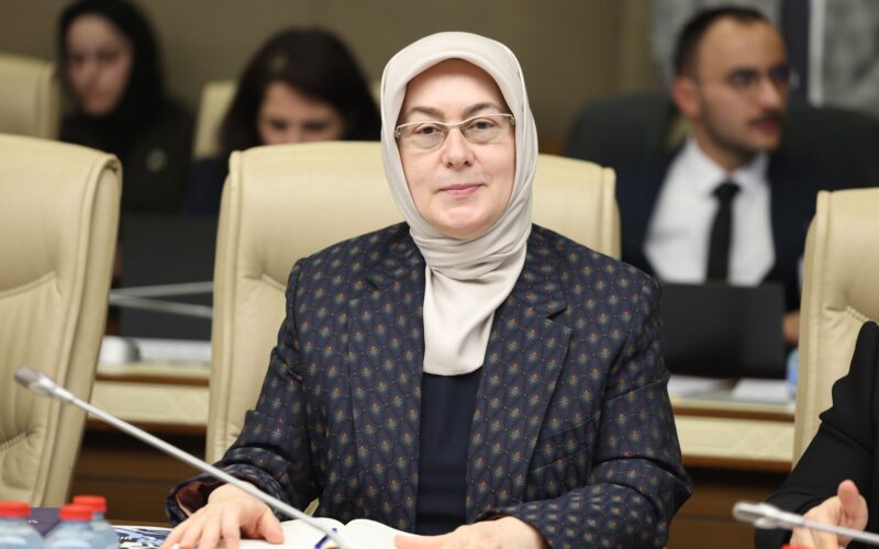 Tonami Köprüsü Çarşamba Günü Trafiğe Açılıyor