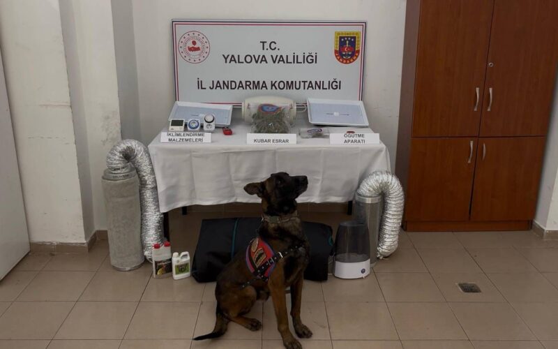 Yalova’da Evine İklimlendirme Sistemi Kuran Uyuşturucu Zanlısı Yakalandı