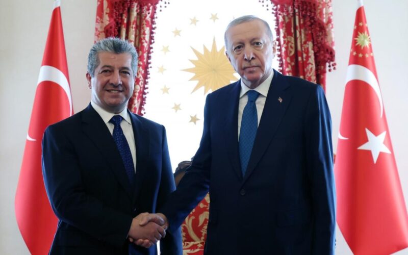 Cumhurbaşkanı Erdoğan: IKBY İle Dayanışmamız Sürecek