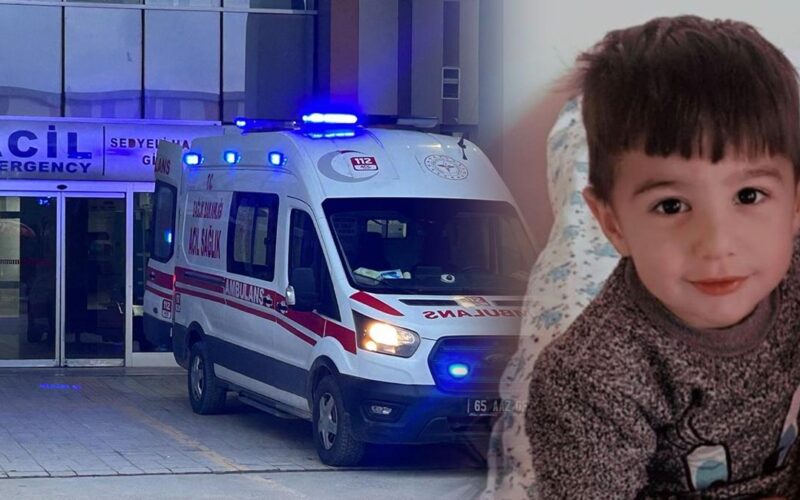 Köpek dehşetinde flaş gelişme: Belediye personeli gözaltına alındı