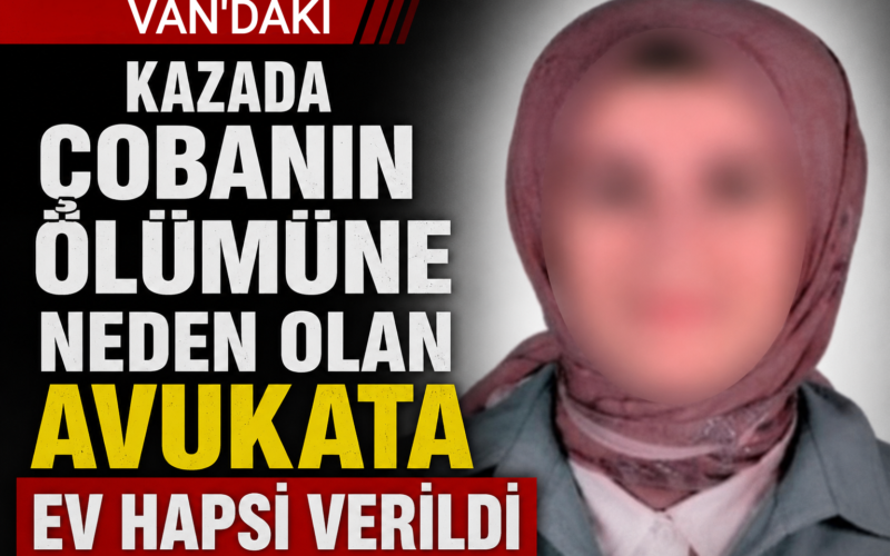 Kazada çobanın ölümüne neden olan avukata ev hapsi verildi