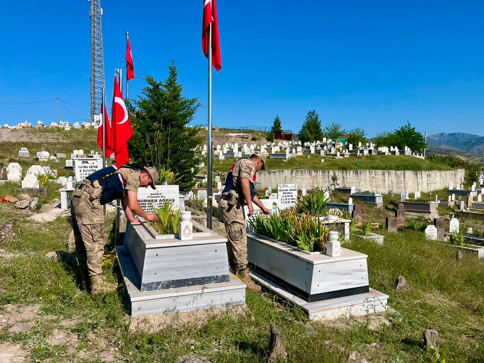 Siirt’te 196 Şehit Kabrinin Bakım Ve Onarımı Yapıldı