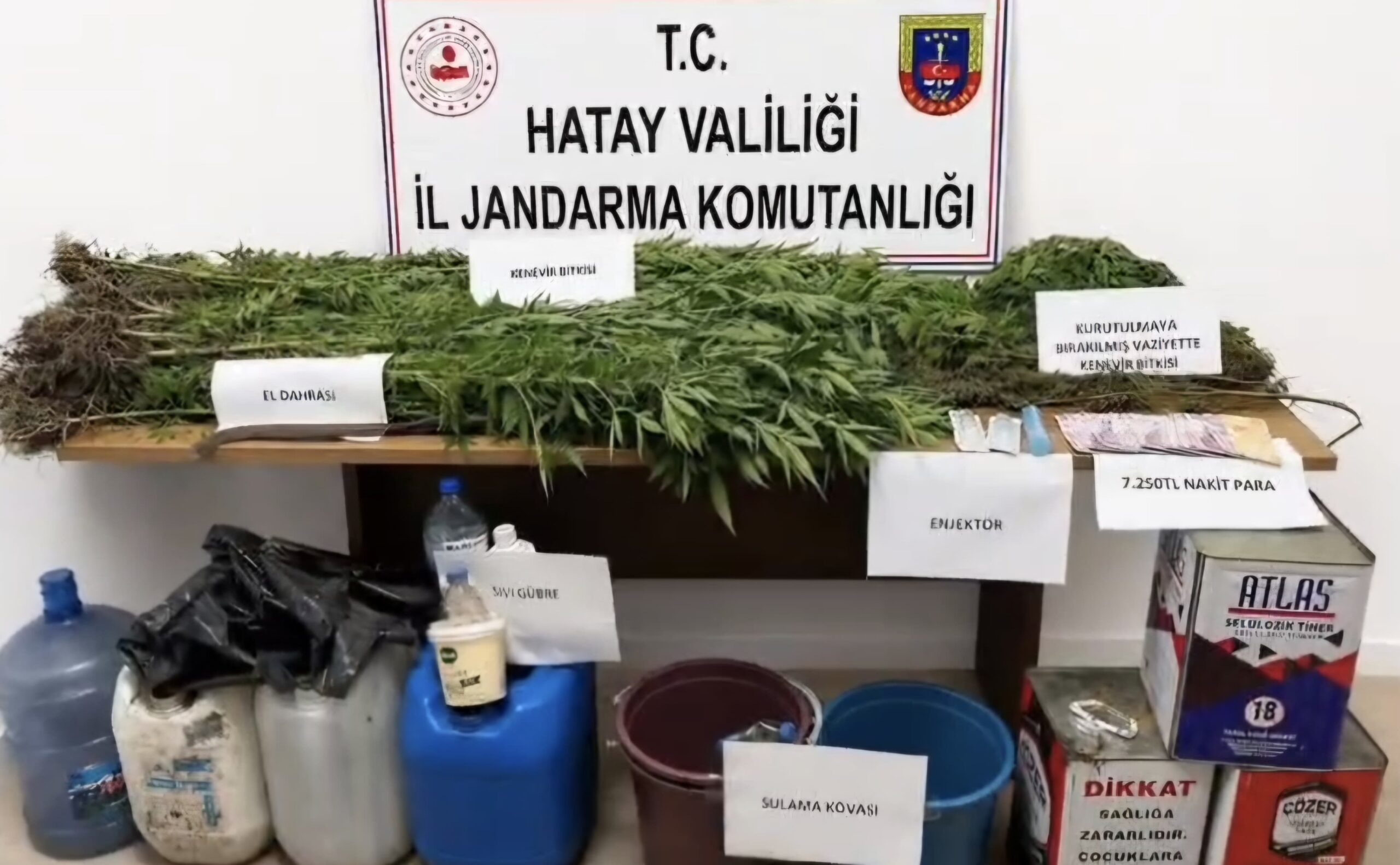 Dörtyol’da Kenevir Operasyonu