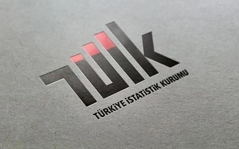 TÜİK 2025 Yılı Sanayi Ve Hizmet İstatistiklerini Açıkladı