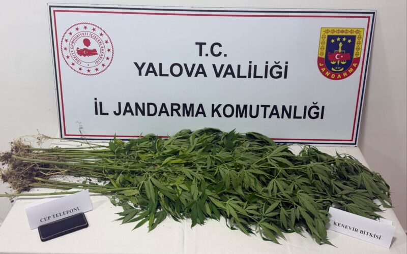 Yalova’da Jandarmadan Uyuşturucu Operasyonu: 3 Şüpheli Yakalandı