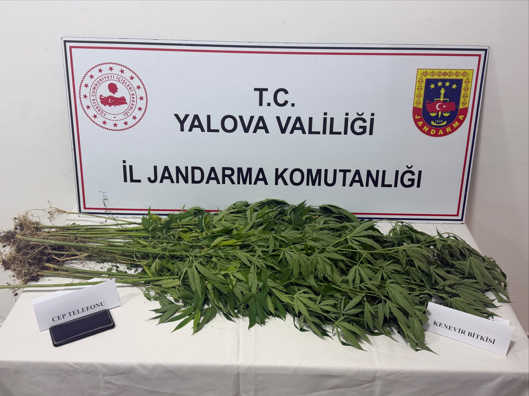 Yalova’da Jandarmadan Uyuşturucu Operasyonu: 3 Şüpheli Yakalandı