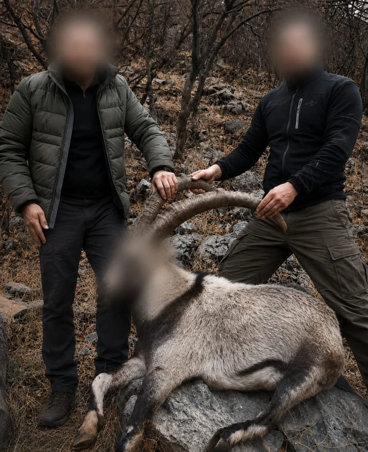 Siirt’te 5 Yaban Keçisini Yasa Dışı Avlayanlara Ceza Kesildi